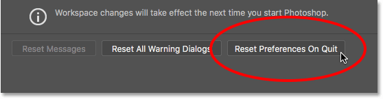 Select the new Reset preferences on exit option.