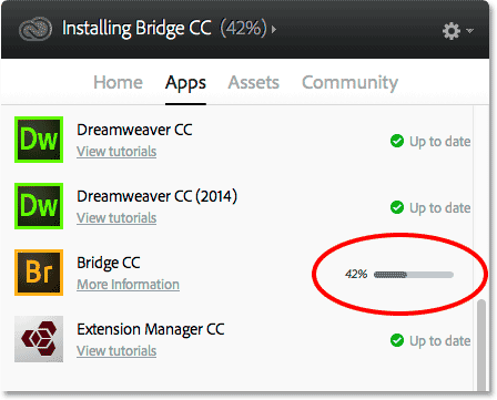 The installation progress bar.