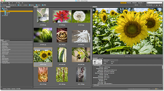 Adobe bridge поиск дубликатов фотографий