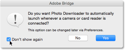 adobe bridge photo downloader stopped working