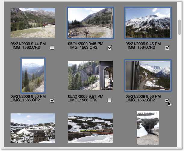 Manually selecting images in the Photo Downloader.