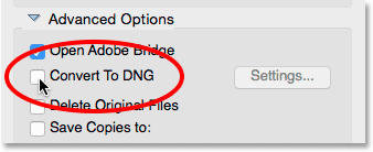 The Convert to DNG option in the Photo Downloader.