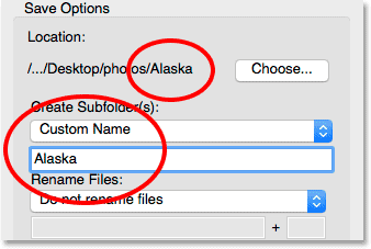 Choosing a custom name for the subfolder in the Photo Downloader.