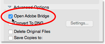 خيار Open Adobe Bridge في قسم Advanced Options من Photo Downloader.