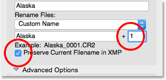 The four digit extension box and the Preserve Current Filename in XMP option.