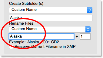 Entering a new custom name for the files.