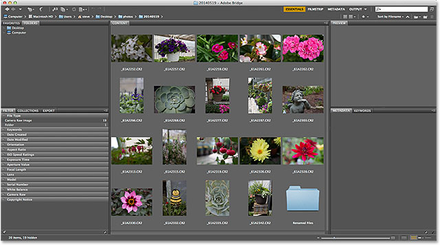 Navigating to the image folder in Adobe Bridge CS6. Image © 2014 Photoshop Essentials.com