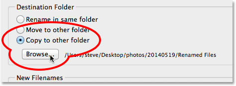 Selecting the Copy to another folder option for the Destination Folder. Image © 2014 Photoshop Essentials.com