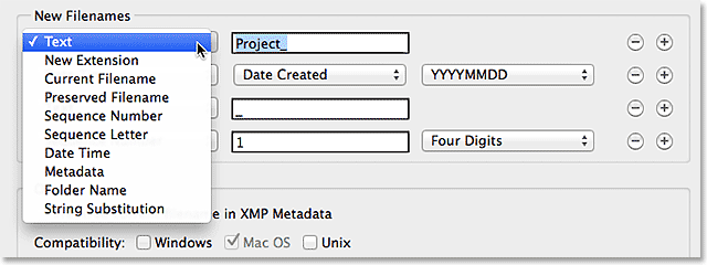 The New Filenames section in the Batch Rename dialog box. Image © 2014 Photoshop Essentials.com
