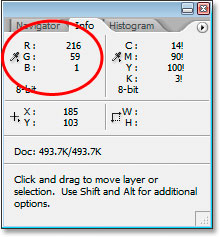 Photoshop's Info Palette