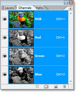 Photoshp's Channels palette.