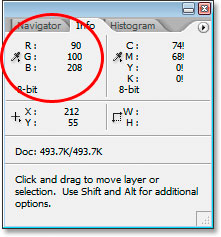 Photoshop's Info Palette showing us the RGB information for the area on the bird's head