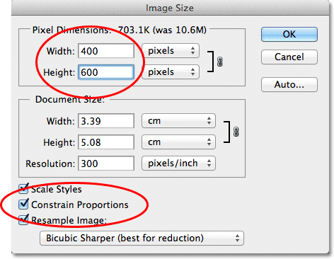 Entering new pixel dimensions for the image in the Image Size dialog box. Image © 2012 Photoshop Essentials.com