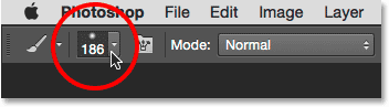 Clicking the Brush Preset icon in the Options Bar. 