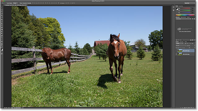 Turning off the top layer reveals the photo on the bottom layer. 