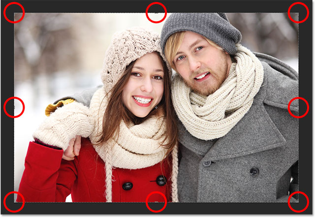 The default crop border and crop handles around the image. 