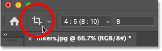 The Crop Tool icon in the Options Bar in Photoshop