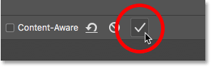 Cropping the image with the Crop Tool by clicking the checkmark in the Options Bar