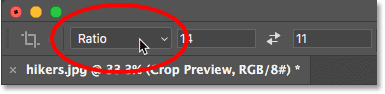 Clicking the Aspect Ratio option in the Options Bar