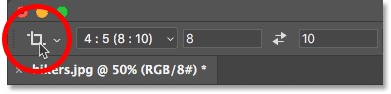 The Crop Tool icon in the Options Bar in Photoshop