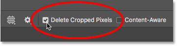 The Delete Cropped Pixels option for the Crop Tool in Photoshop