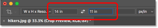 Entering a specific width and height, in inches, for the Crop Tool in Photoshop