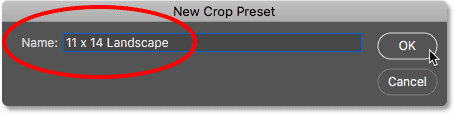 Naming the new custom preset for the Crop Tool