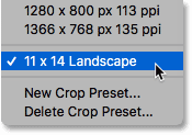 The new custom aspect ratio for the Crop Tool