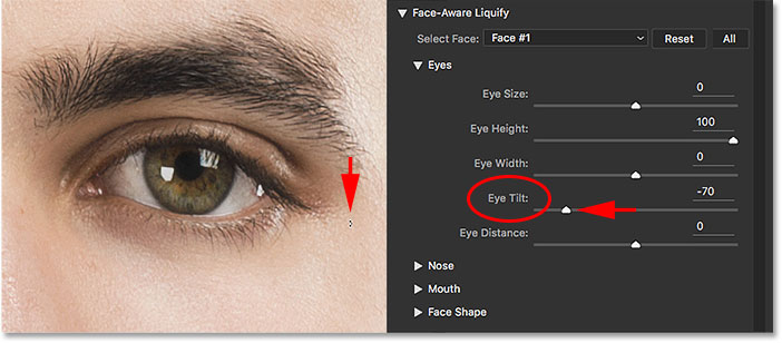 Dragging the Eye Tilt handle with the Face Tool. 