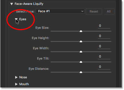 The Eye Size, Eye Height, Eye Width, Eye Tilt, and Eye Distance sliders for Face-Aware Liquify. 