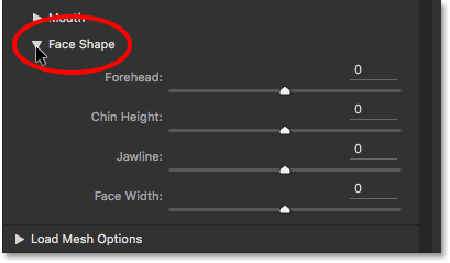 The Face Shape sliders in Face-Aware Liquify. 