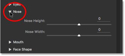 The Nose sliders in Face-Aware Liquify. Image © 2016 Steve Patterson, Photoshop Essentials.com