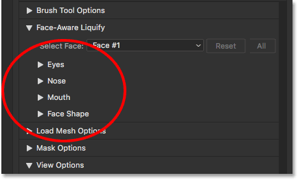 The Eyes, Nose, Mouth, and Face Shape sections of Face-Aware Liquify. Image © 2016 Steve Patterson, Photoshop Essentials.com