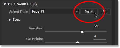 The Face-Aware Liquify Reset button. 