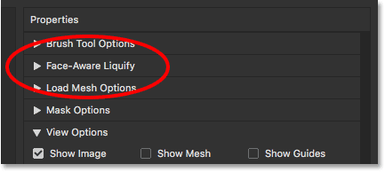 The new Face-Aware Liquify section in Photoshop CC. 