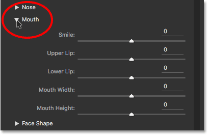 The Eye Size, Eye Height, Eye Width, Eye Tilt, and Eye Distance sliders for Face-Aware Liquify. 