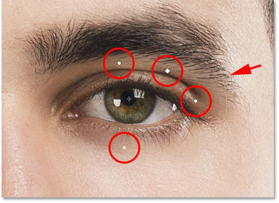 The Face Tool handles around the eye. 