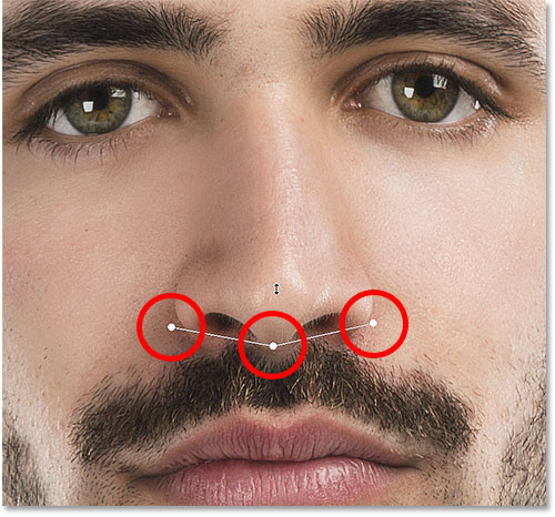 The Nose Width and Nose Height handles for the Face Tool. 