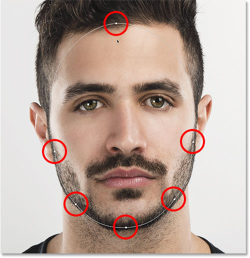 The Face Shape handles for the Face Tool. 