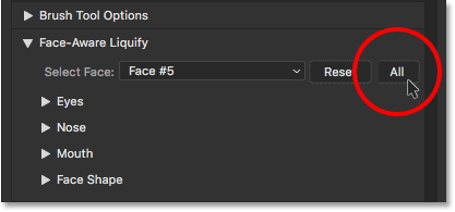The Reset All button in Face-Aware Liquify. 