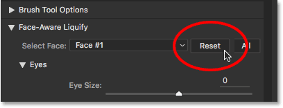 The Face-Aware Liquify Reset button. 