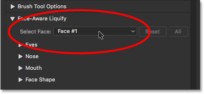 The Select Face option in Face-Aware Liquify. 