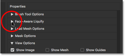 Twirling open the Face-Aware Liquify options set. 