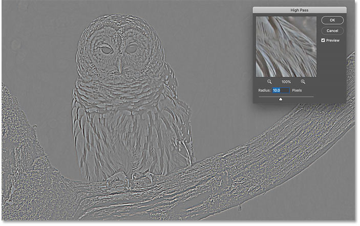 Selecting Photoshop's High Pass filter turned the image gray