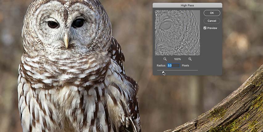 How to sharpen images in Photoshop with the High Pass filter