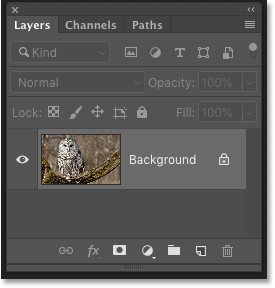 Photoshop's Layers panel showing the unsharpened image