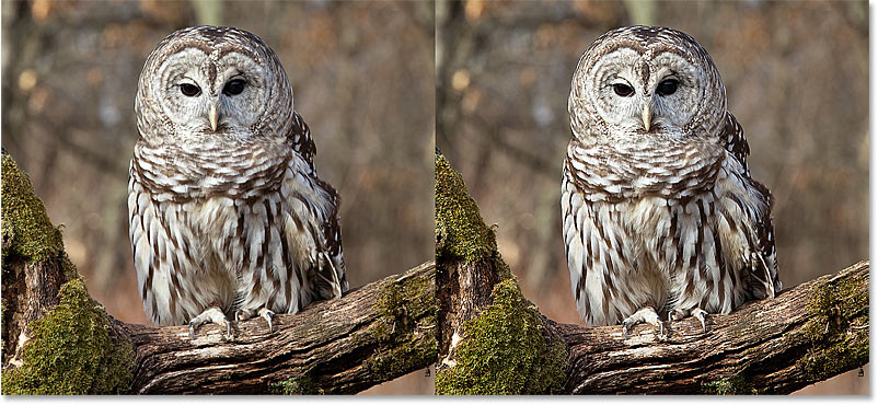 Sharpen Images in Photoshop with the High Pass filter