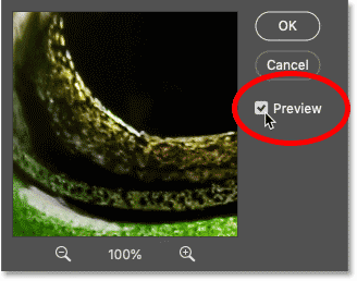 The Preview option in Photoshop's Unsharp Mask dialog box