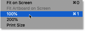 Choosing the 100 percent view size in Photoshop