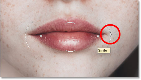 Hovering the mouse cursor over the Smile icon in Photoshop's Liquify filter